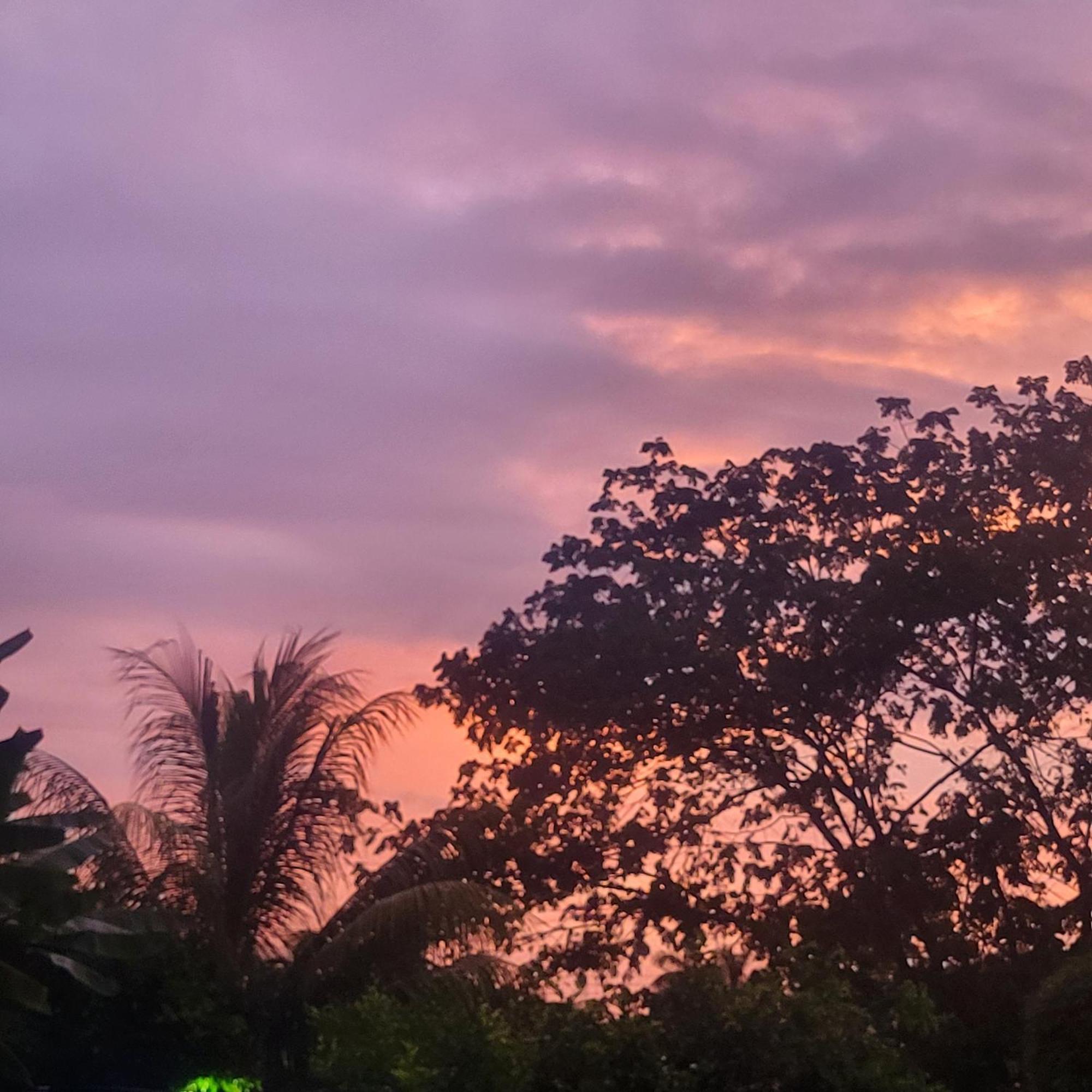 Madre Terra Bed & Breakfast Uvita Exterior photo