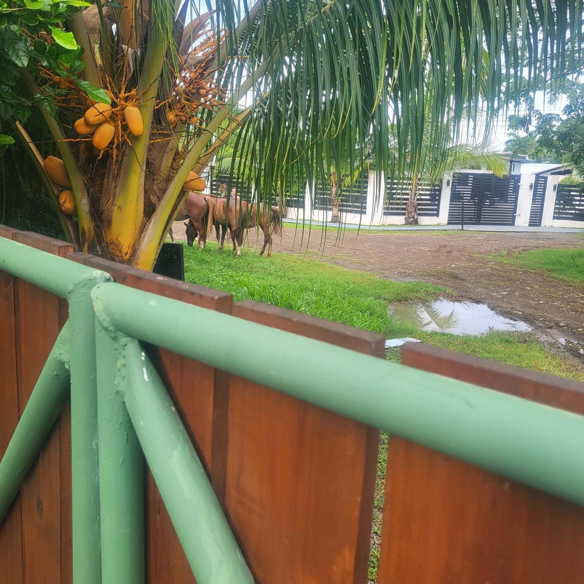 Madre Terra Bed & Breakfast Uvita Exterior photo