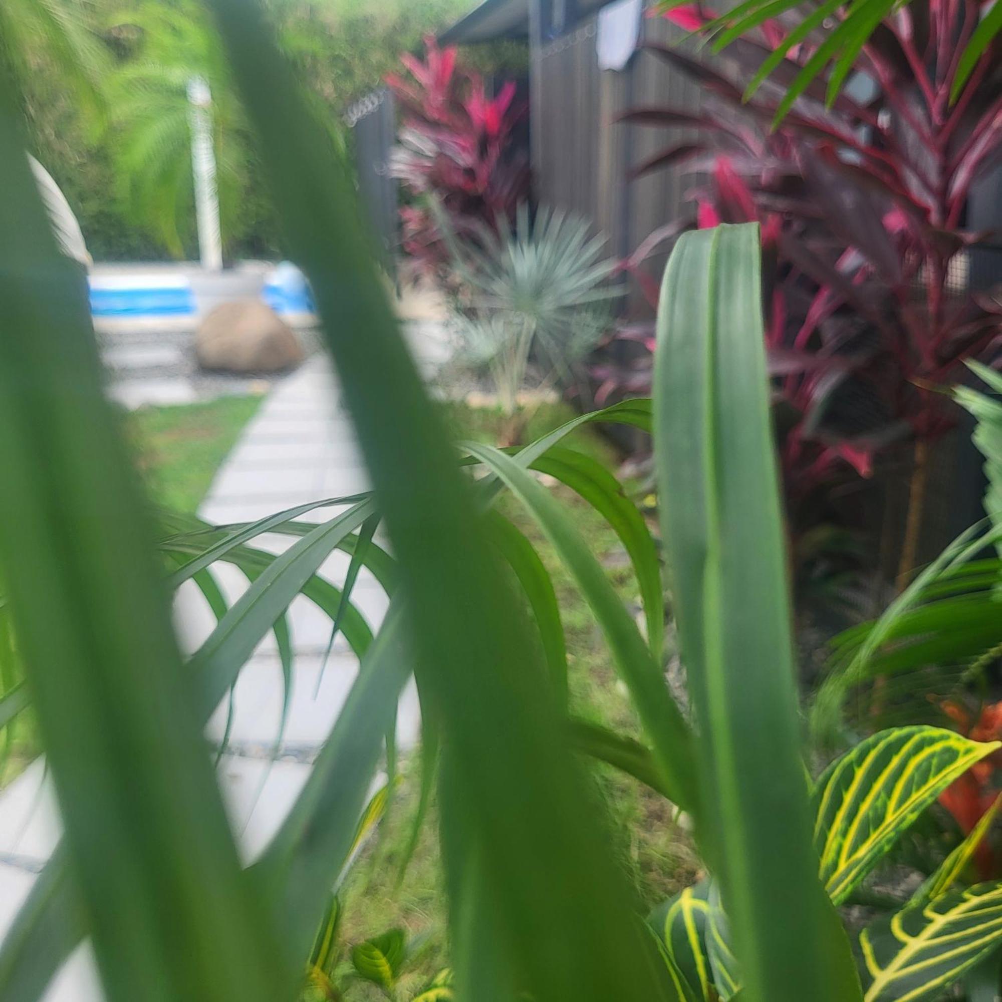 Madre Terra Bed & Breakfast Uvita Exterior photo