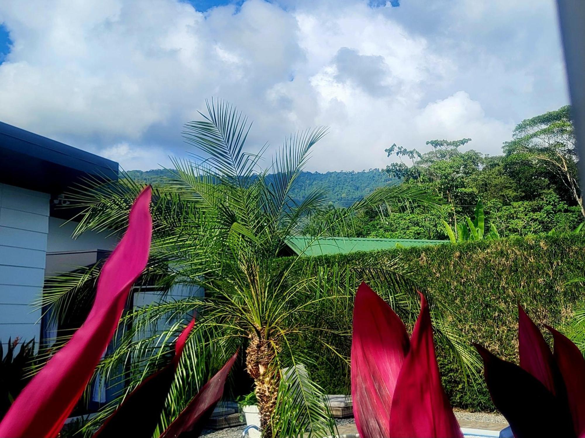 Madre Terra Bed & Breakfast Uvita Exterior photo